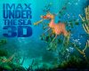 underthesea02_1280x1024.jpg