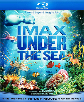 Under the Sea